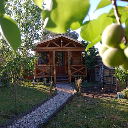 Foresta Acantilados, Casa Container Y Cabana De Troncos Mar del Plata Exterior foto
