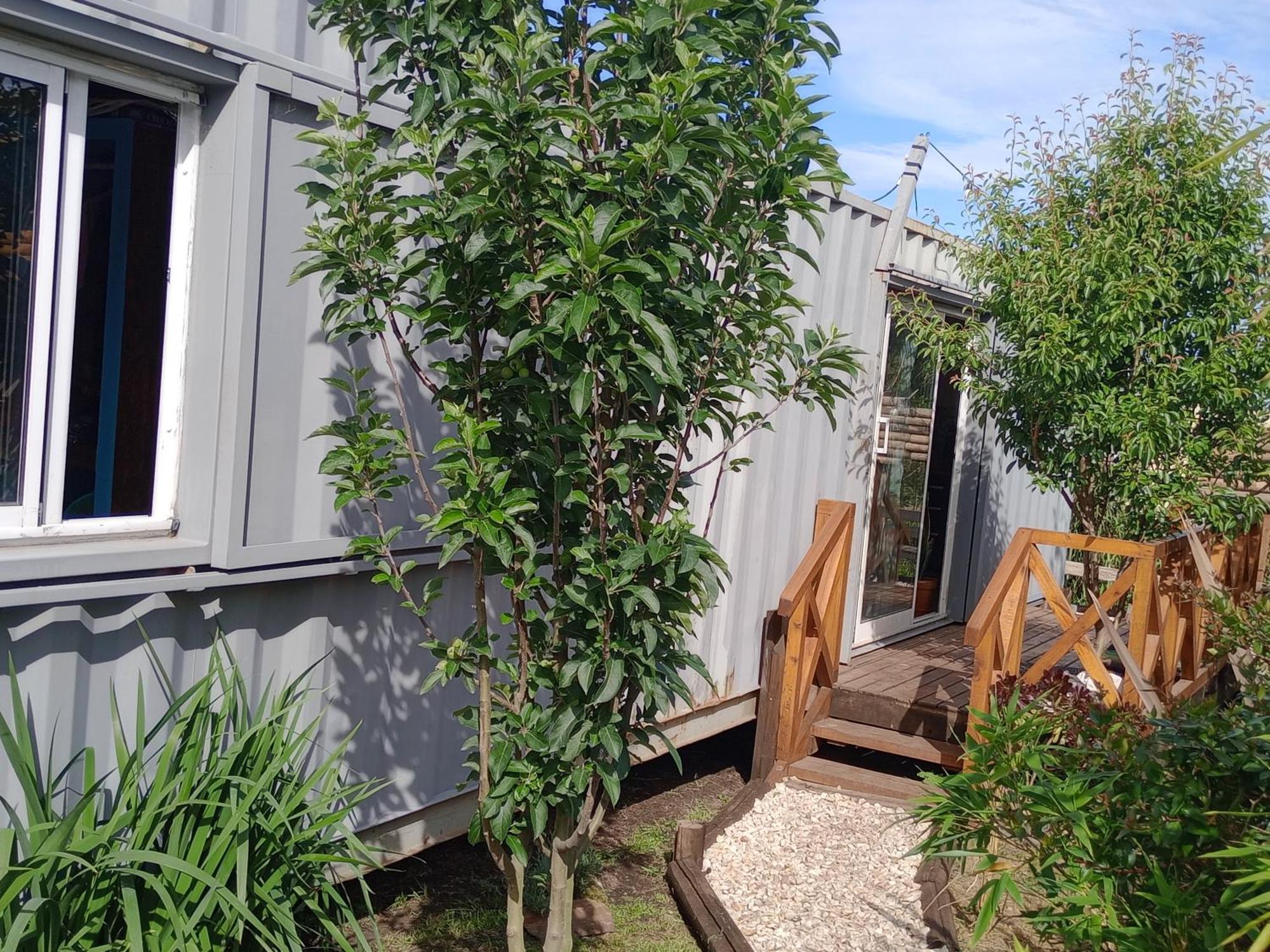 Foresta Acantilados, Casa Container Y Cabana De Troncos Mar del Plata Exterior foto
